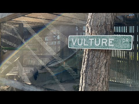Audubon Center for Birds of Prey | Raptor Sanctuary and Clinic
