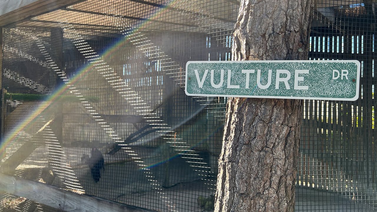 Audubon Center for Birds of Prey | Raptor Sanctuary and Clinic