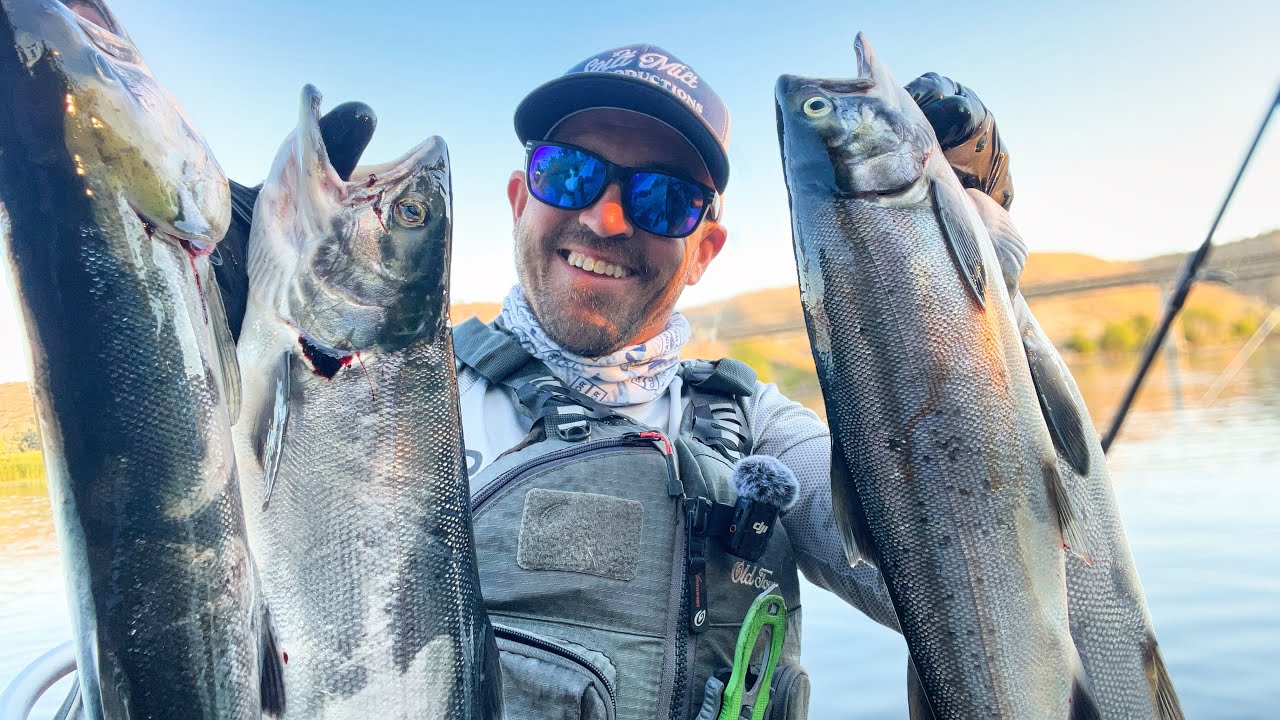 Crazy Hot Sockeye Salmon Bite: Brewster Pool