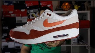 air max 1 mars stone