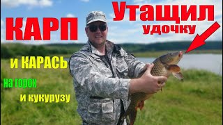 Ловля карпа на ПРИМИТИВНЫЕ СНАСТИ!!! Карп утащил удочку/ловля карася/Рыбалка на карпа.