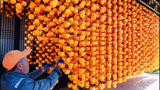 Inside the Amazing World of Orange Food Technology: A Factory Tour' by Tech Machine 411 views 1 month ago 6 minutes, 15 seconds