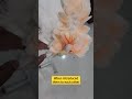 Moluccan Cockatoo &amp; Blue Eye  Cockatoo Bonding #Cockatoos #Pair #Bonding #Love #ShaikhTanveer