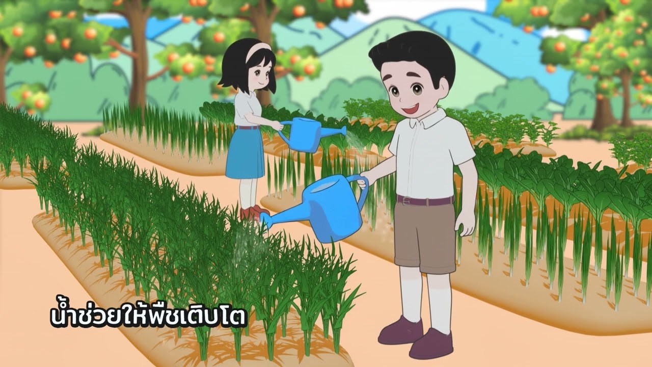 ตอนที่ 2 ดินแบบไหนที่พืชชอบ และน้ำคือชีวิตพืช