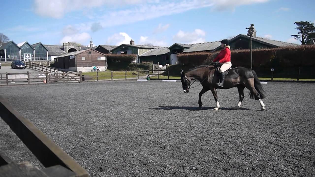 British Dressage Camp Test Riding Prelim 19 (67) YouTube British Dressage Camp Test Riding Prelim 19 (67) YouTube