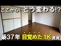 築37年 1Kがリノベーションで覚醒！？ビフォーアフター【川崎市 リノベ賃貸】【満室御礼✨】