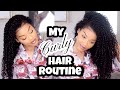 My Curly Hair Routine!