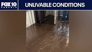 Prescott Valley homes flooded during heavy storm | FOX 10 Phoenix