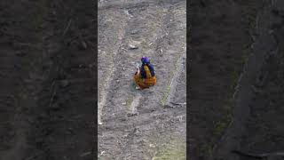 İki Dünya Arasında Bir Mola. Bir Yanda Toprağın Bereketi, Diğer Yanda Dijitalin Hızı...