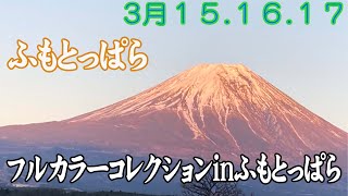 【親子キャンプ】フルカラーコレクションinふもとっぱら