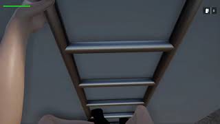 LadderIK FirstPerson
