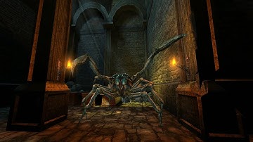 The Witcher: Enhanced Edition Walkthrough - Part 14