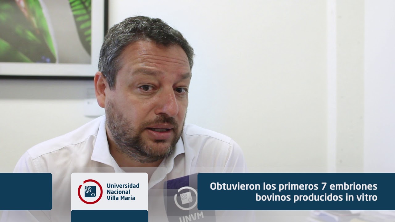 universidad nacional de villa maria biblioteca Obtuvieron embriones bovinos producidos in vitro