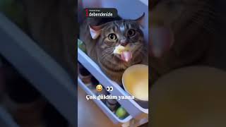 Çok Güldüm Yarıldım 😂😂😂