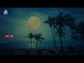 #قصيدة ~  ( لا تَشْكُ للناس جُرْحًَا أَنْتَ صَاحِبُهُ ) ....       محمد_مراد_العابد 🍃