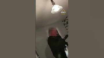 Arrestatiemoment: Cryptoqueen gevangen gezet voor oplichting van $ 6,6 miljard