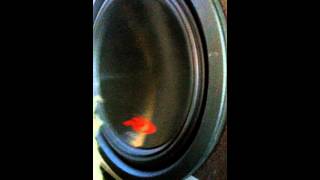 Type R Alpine System and MB Quart 1000w amp