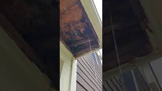 Wrong roofing crew for Minnesota - no proper ice barrier, cheap flashing Smart Builders Group Inc