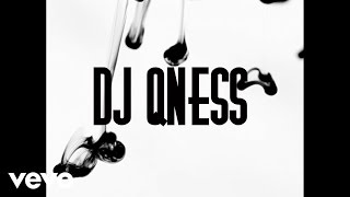 DJ Qness - Everything