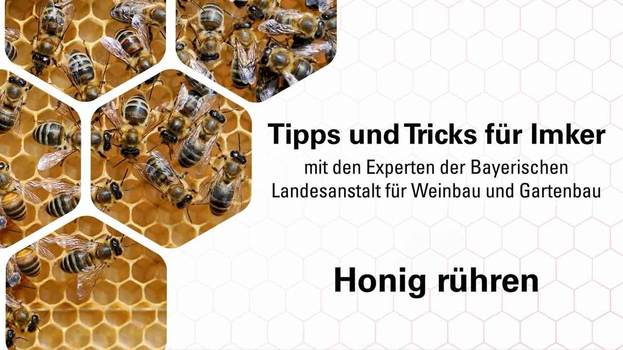 Imkerpraxis: Honig cremig rühren