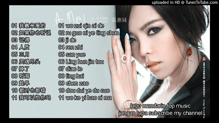 11 LAGU MANDARIN- Zhang hui mei-