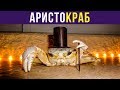 Приколы. АРИСТОКРАБ | Мемозг #229