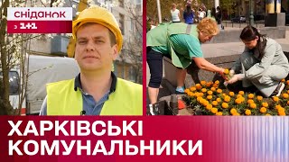 Незламні комунальники Харкова: як робітники підтримують чистоту в місті попри обстріли
