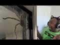 try not to get scared challenge HUGE BUG EDITION!!!