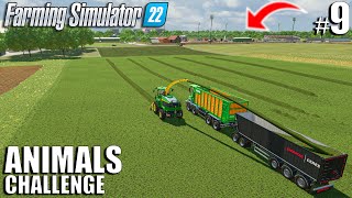 I Started THE SILAGE PRODUCTION for 1500 ANIMALS🌽🐮| ANIMALS Challenge | Farming Simulator 22