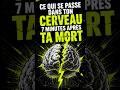Ton cerveau vit encore 7 minutes après ta mort — voici ce qui se passe 🧠🧬