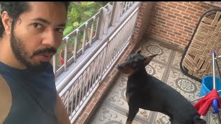 Eshan Deepika Vlogs | Sultaan Meets His Friend Charlie | Living With Doberman | Dog   Lovers