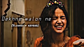 DEKHNE WALON NE KYA KYA NAHIN DEKHA HOGA