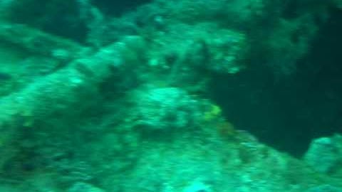 310 Video Series Camera Mask - Jamaica ship wreck and fish