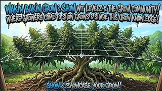 COME SHOW UR GROW & WAKE & BAKE WITH LEVELZ & THIS GROW COMMUNITY!! SHARING GROWS & GROW KNOWLEDGE!