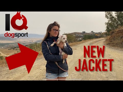 IQ Dogsport All Around jacket Review - Royal Marine gives his first impressions on the new clothing