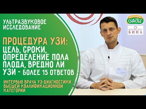 Ответы на все вопросы об УЗИ плода при беременности: видео с врачом