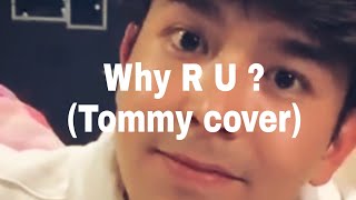 Tommy Sittichok Cover WHY R U ? by I MEAN (Ost Why r u the series) IG TV #mii2