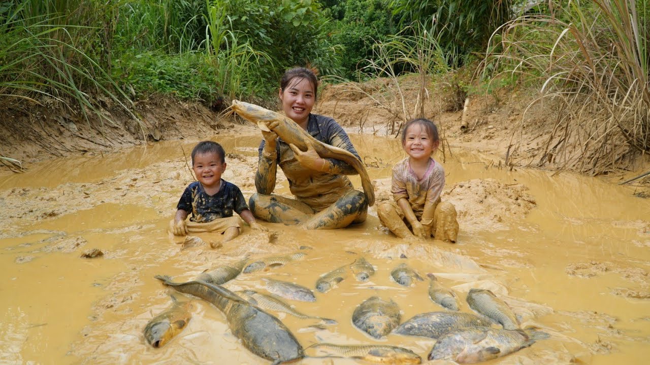 how to harvest a giant fish pond with a little daughter to sell at the ...