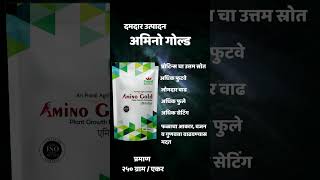 Amino Gold - A Unique product from Pranil Agri Services Pune #aminogold #pranilagri