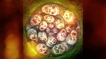 This Nightmare Is Over W A A L S