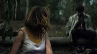 Amongelatina Chacal De Nahueltoro