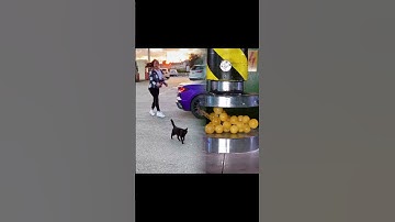 Part 62 Loved it? Like, comment, subscribe! Let