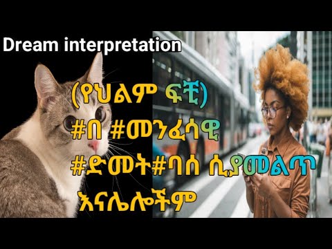 Dream Interpretation የህልም ፍቺ በ መንፈሳዊ ድመት ባሰ ሲያመልጥ እናሌሎችም Seifuonebs Arts Ebs Kana Jtv Nahoo