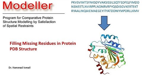 Missing Residue Filling Protein PDB | Modeller | Homology Modelling | Bioinformatics | Urdu | Hindi