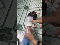 Bóng đèn Led nguồn 12 2VDC
