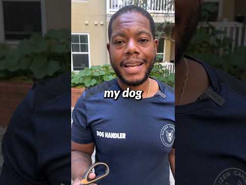 Video: Neuter vs. Ne Neuter u muškom psu