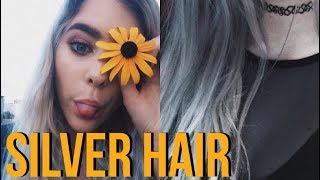 Silver Hair // What Products I Use & Aftercare