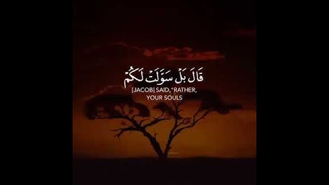 قَالَ بَلْ سَوَّلَتْ لَكُمْ أَنفُسُكُمْ أَمْرًا ۖ فَصَبْرٌ جَمِيلٌ ۖ عَسَى  (83) سورة يوسف