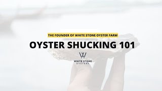 Oyster Shucking 101 White Stone Oysters