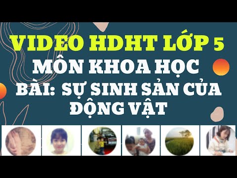 Video HDHT lớp Năm môn khoa học, Bài: Sự sinh sản của động vật